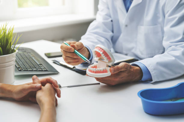  Bolindale, OH Holistic Dental Services Pros